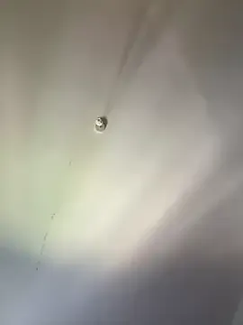 blissdimicco – webcam model profile photo